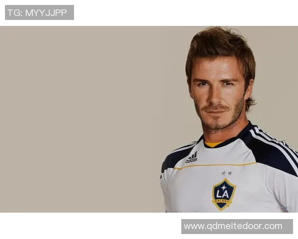 威尔特足球明星名字全解析及其成就回顾与影响力分析